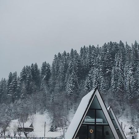 Mountains Hut Villa Mykulychyn Exterior foto